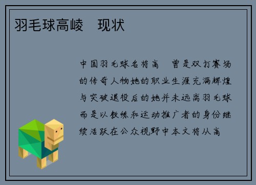 羽毛球高崚   现状